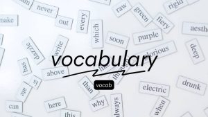 Apa itu Vocabulary
