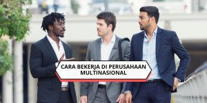 Cara Bekerja di Perusahaan Multinasional