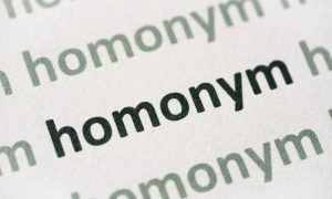 what is homonyms