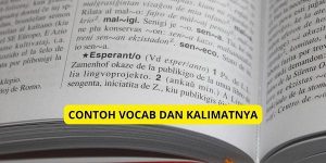Contoh Vocab dan Kalimatnya