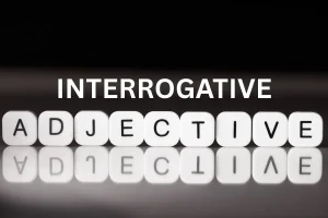 Interrogative adjective