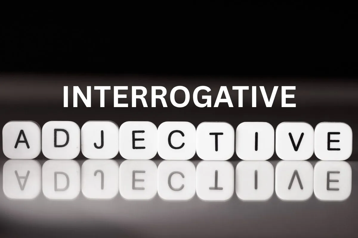 Interrogative adjective