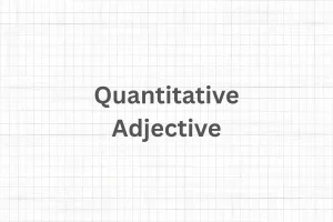 Quantitative adjective