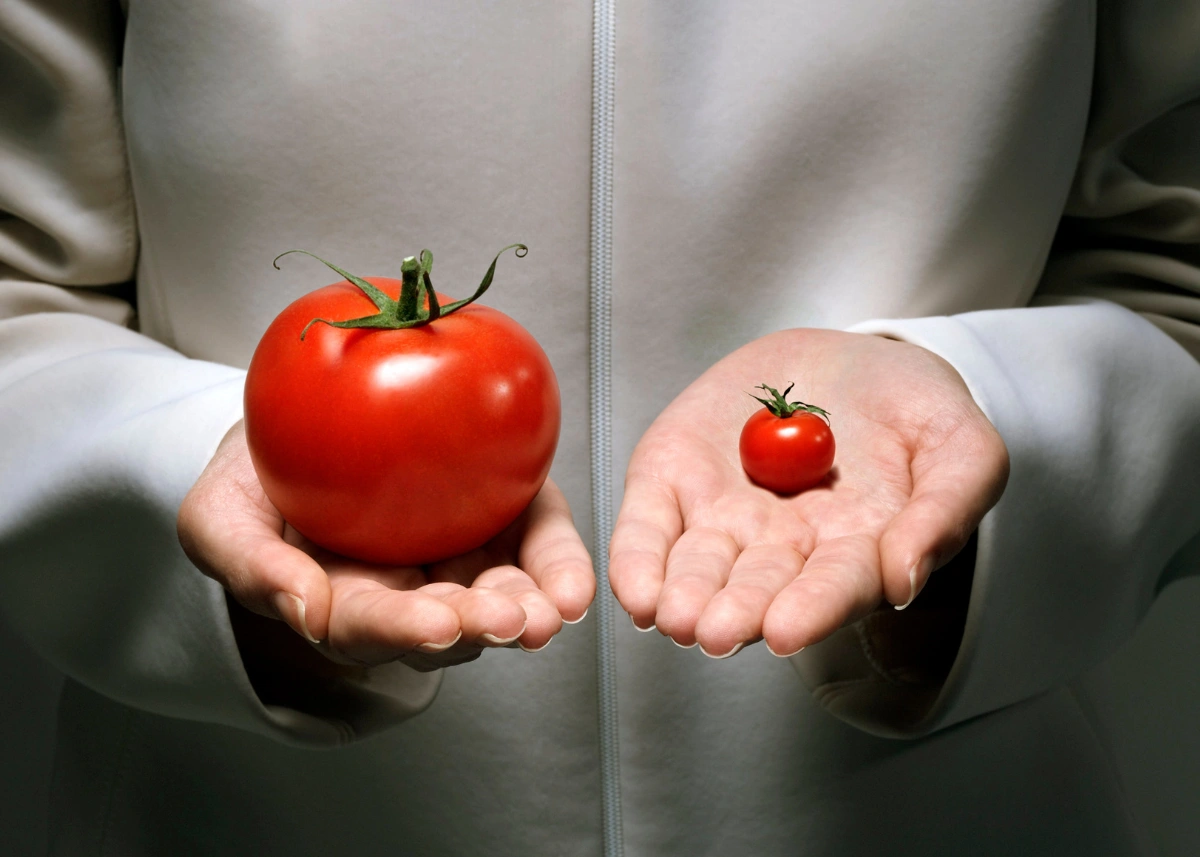 superlative and comparative